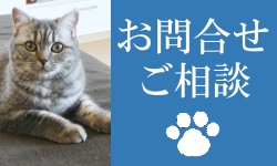 問い合わせフォーム